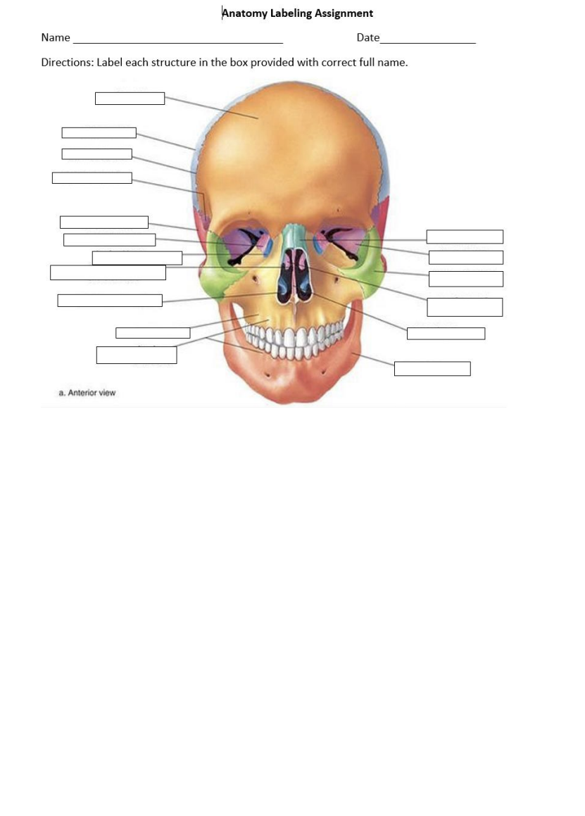 assignment image labeling 9.1