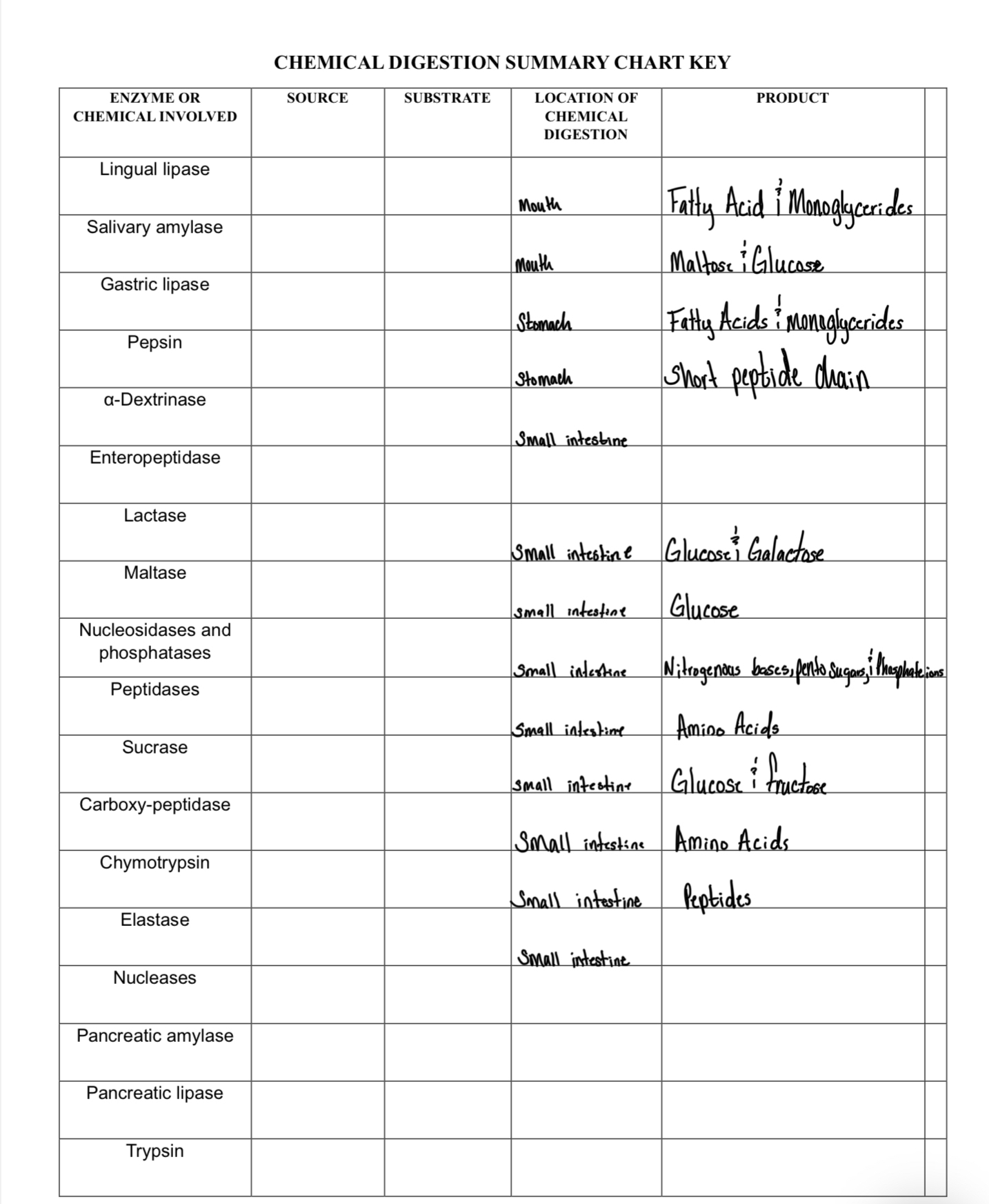 Solved CHEMICAL DIGESTION SUMMARY CHART | Chegg.com