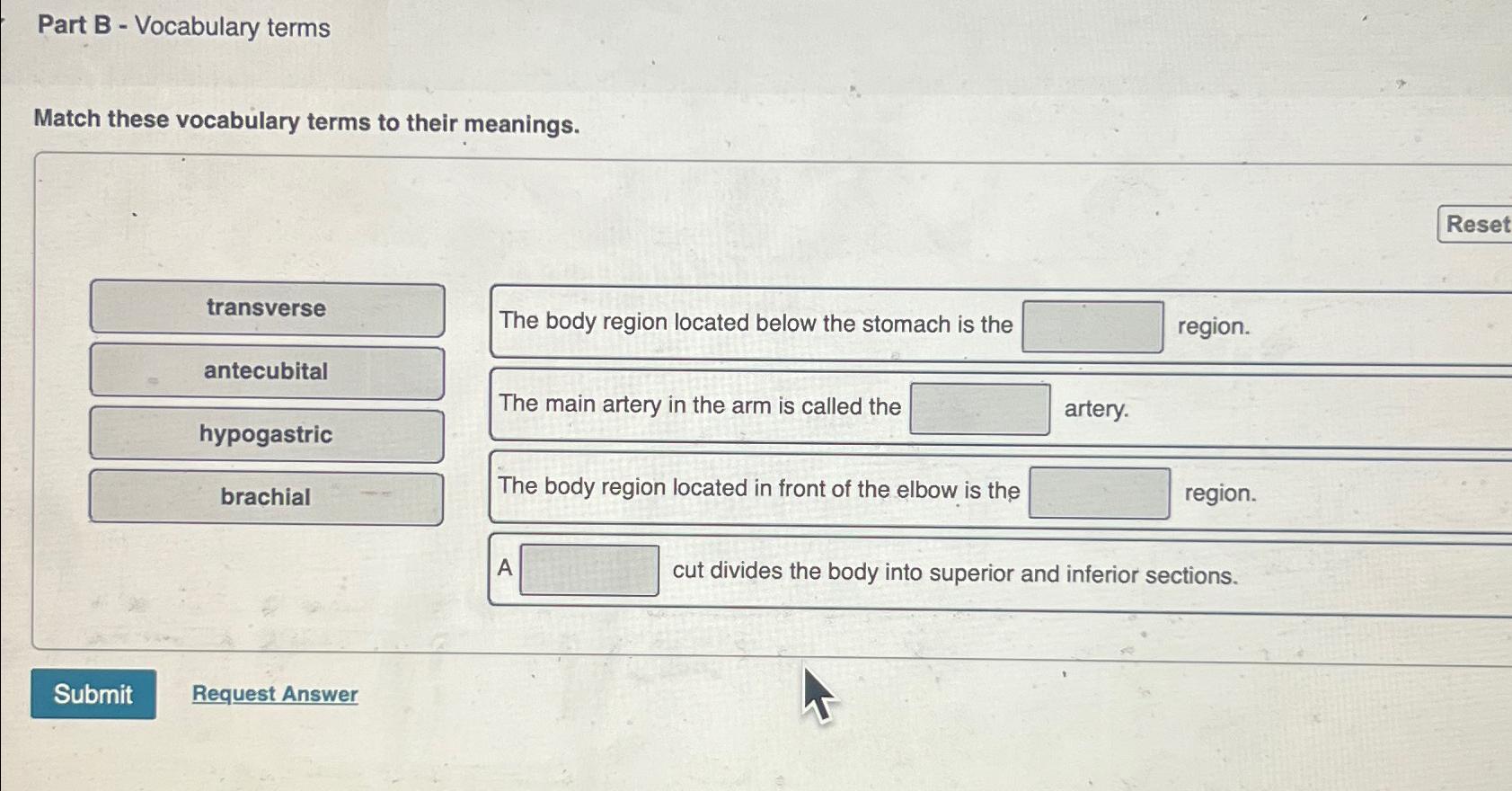 Solved Part B - ﻿Vocabulary termsMatch these vocabulary | Chegg.com