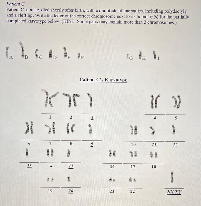 Solved hi can you please help me solve genetics worksheet: i | Chegg.com