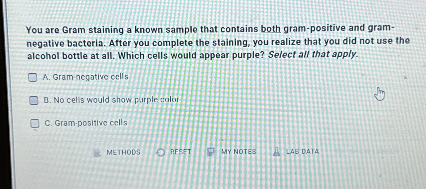 Solved You are Gram staining a known sample that contains | Chegg.com