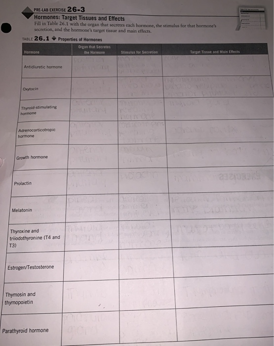 Solved Pre-lab Exercise 26-3 Hormones: Target Tissues And 