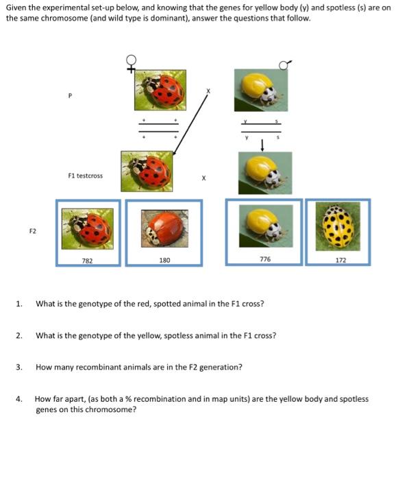 Solved Given The Experimental Set-up Below, And Knowing That | Chegg.com