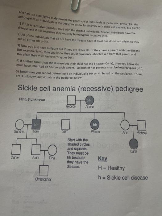 Solved You can use a pedigree to determine the genotype of | Chegg.com