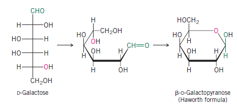 Solved: Clearly represent the most stable conformation of the p ...