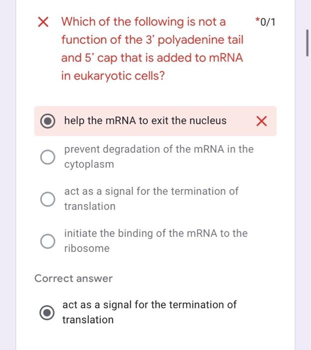 Solved X Which of the following is not a function of the 3' | Chegg.com