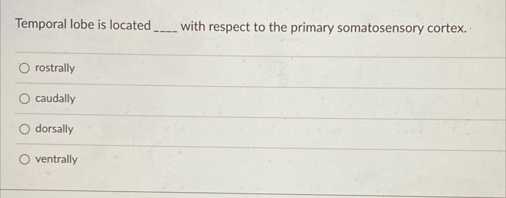 Solved Temporal lobe is located with respect to the primary | Chegg.com