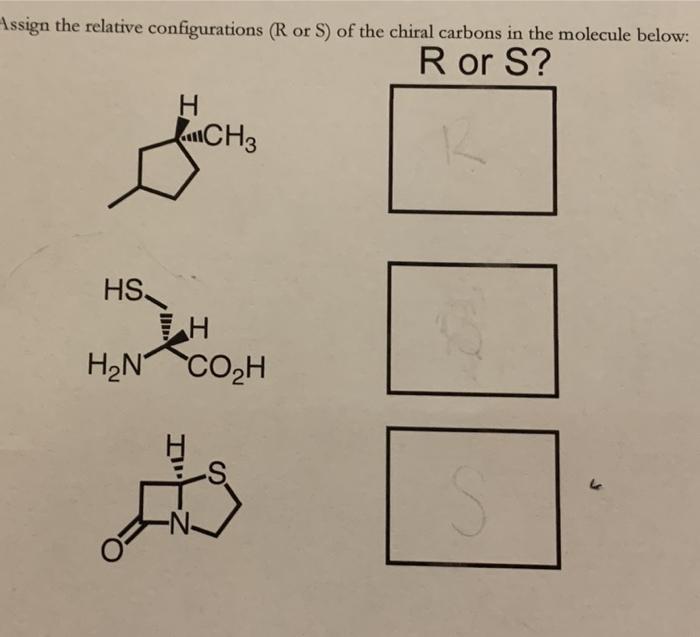 Solved Assign the relative configurations (R or S) of the | Chegg.com