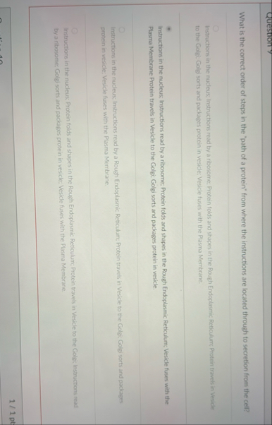 Solved What is the correct order of steps in the "path of a | Chegg.com