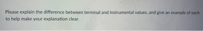 Please explain the difference between terminal and instrumental values, and give an example of each to help make your explana