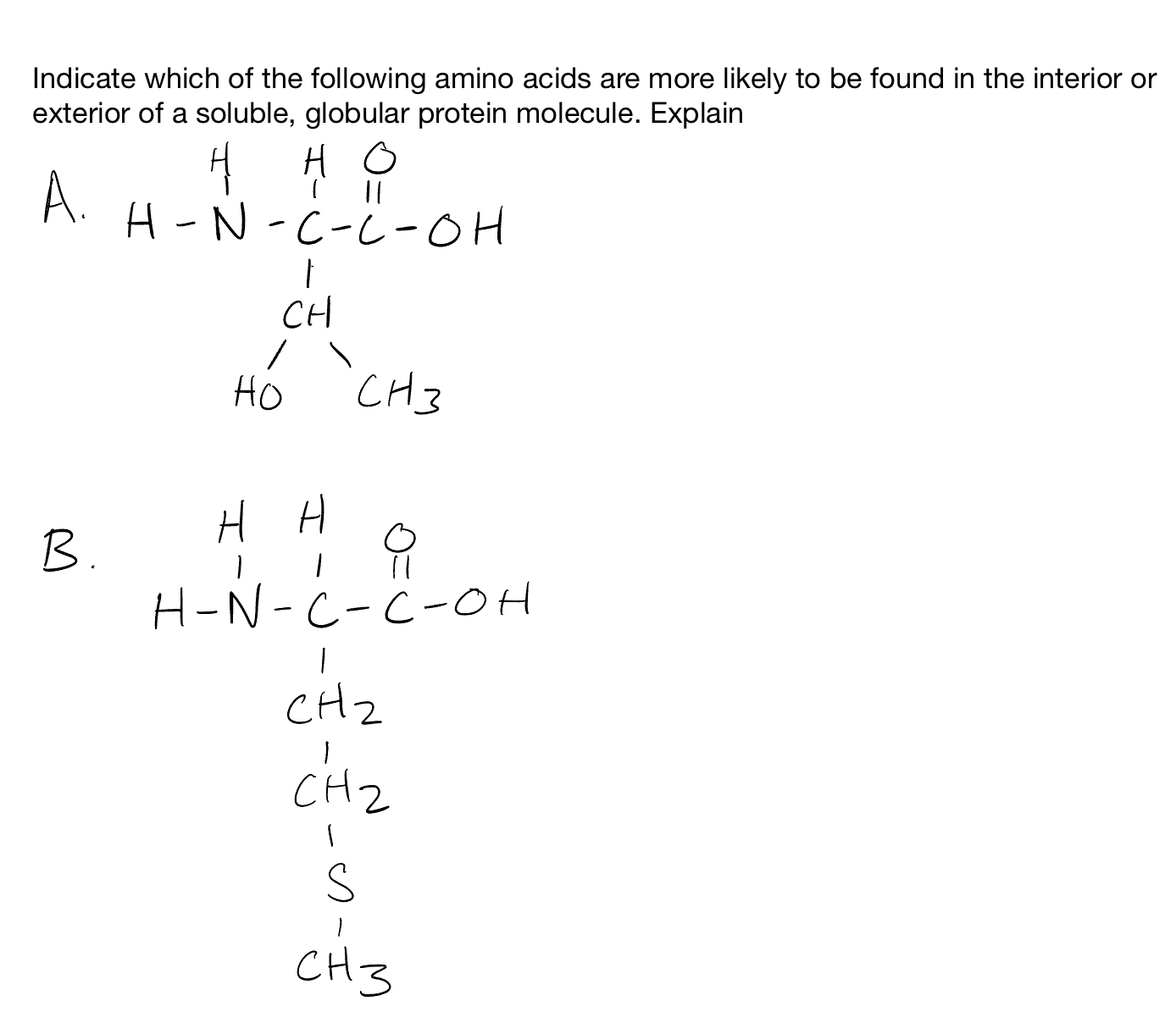 Solved Select TWO that apply. Which of the following amino | Chegg.com