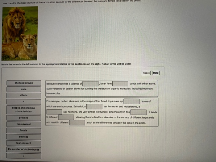 Solved How Does The Chemical Structure Of The Carbon Atom Chegg