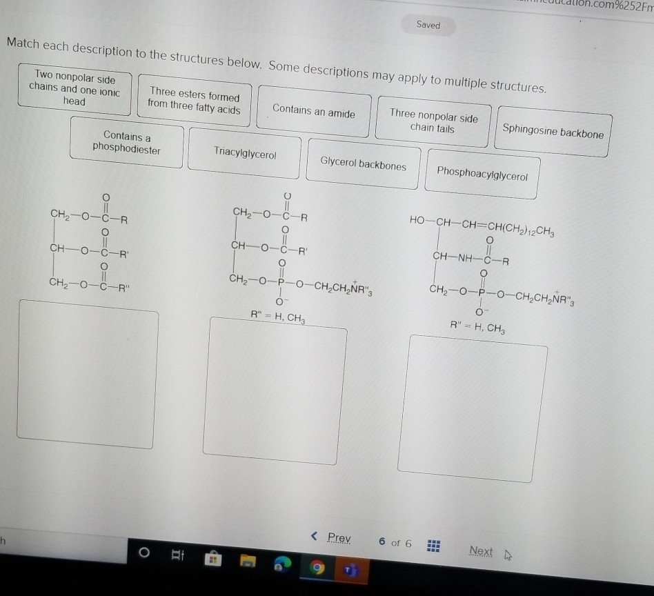 %252Fm Saved Match each description to the structures | Chegg.com