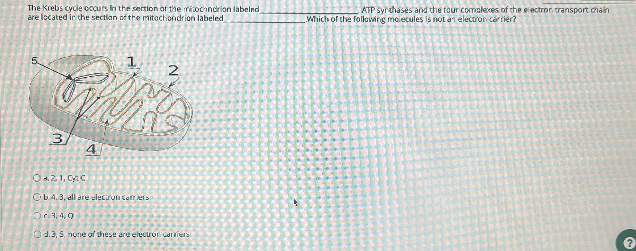 Solved The Krebs cycle occurs in the section of the