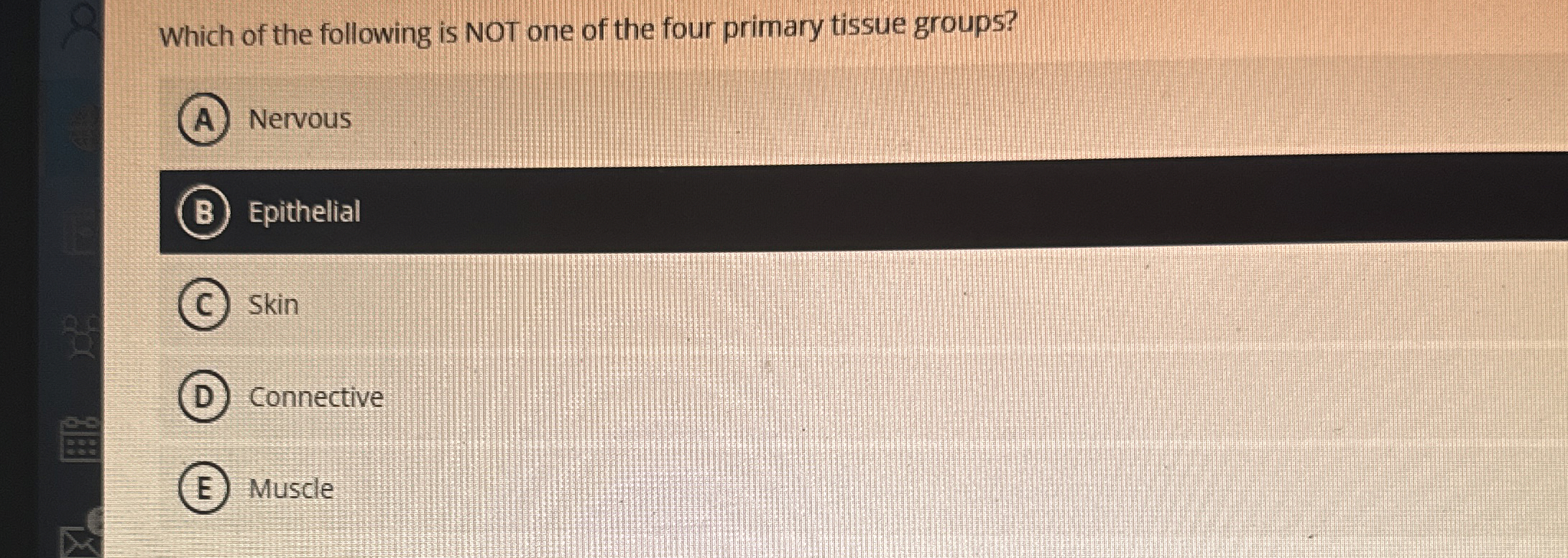 Solved Which of the following is NOT one of the four primary | Chegg.com