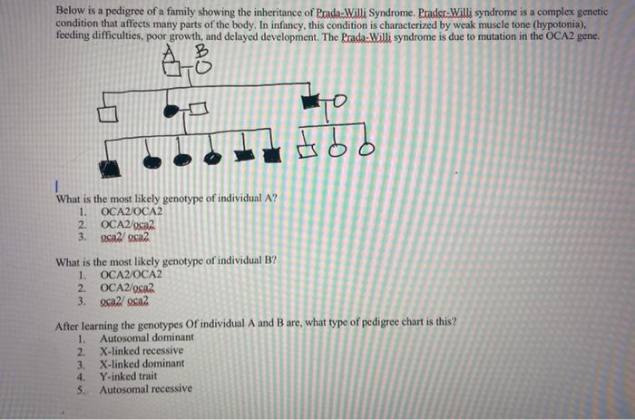 Solved Below is a pedigree of a family showing the | Chegg.com
