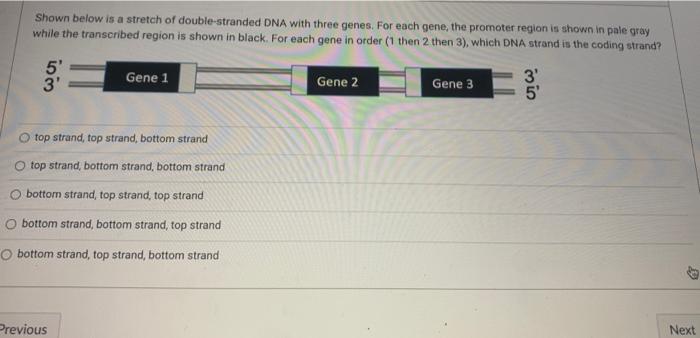 Solved Shown below is a stretch of double-stranded DNA with | Chegg.com