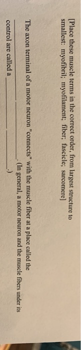 Solved [Place these muscle terms in the correct order, from | Chegg.com