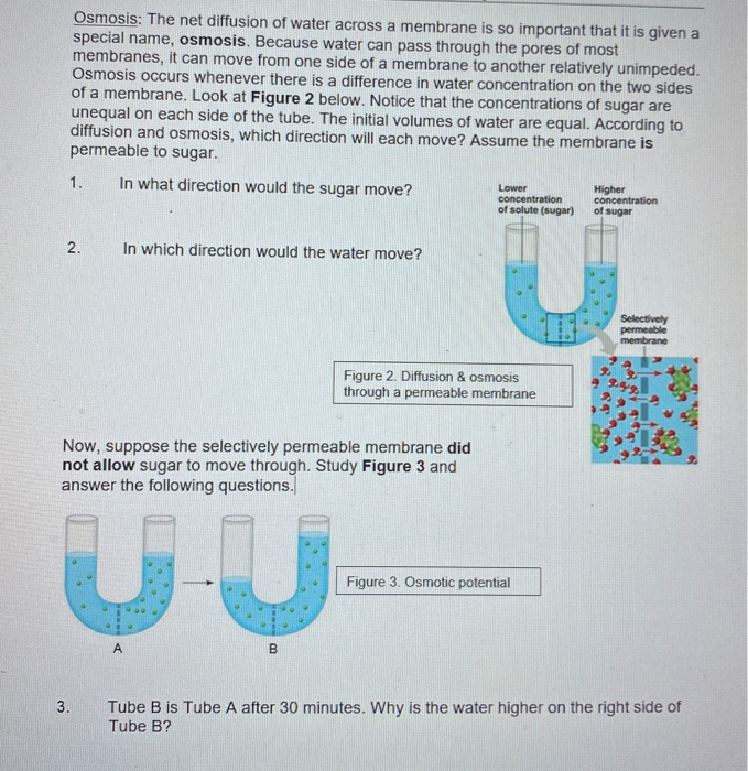 solved-osmosis-the-net-diffusion-of-water-across-a-membrane-chegg