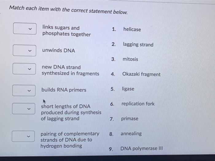 Solved Match each item with the correct statement below.