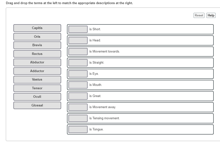 Solved Drag and drop the terms at the left to match the | Chegg.com