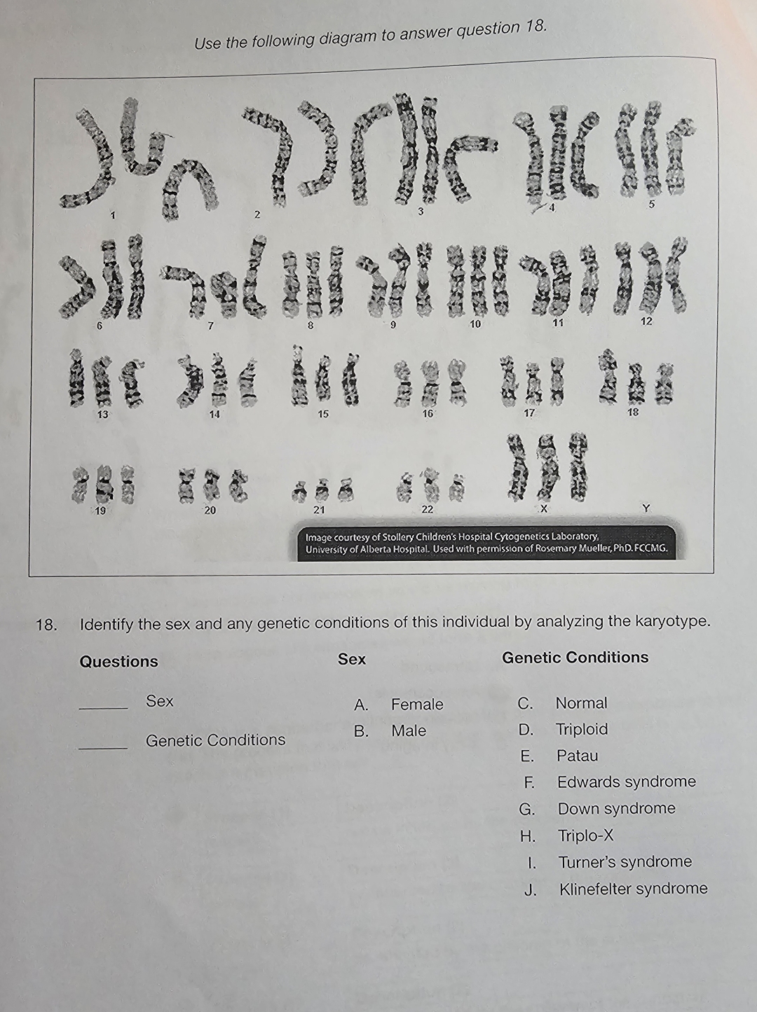 Solved Use The Following Diagram To Answer Question Chegg Com