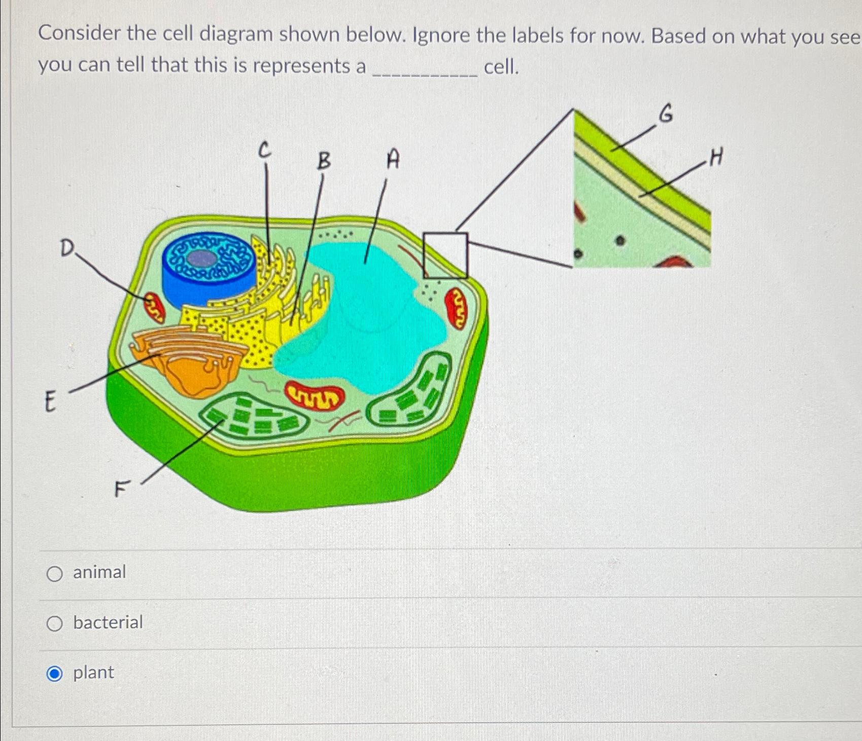 Solved Consider the cell diagram shown below. Ignore the | Chegg.com