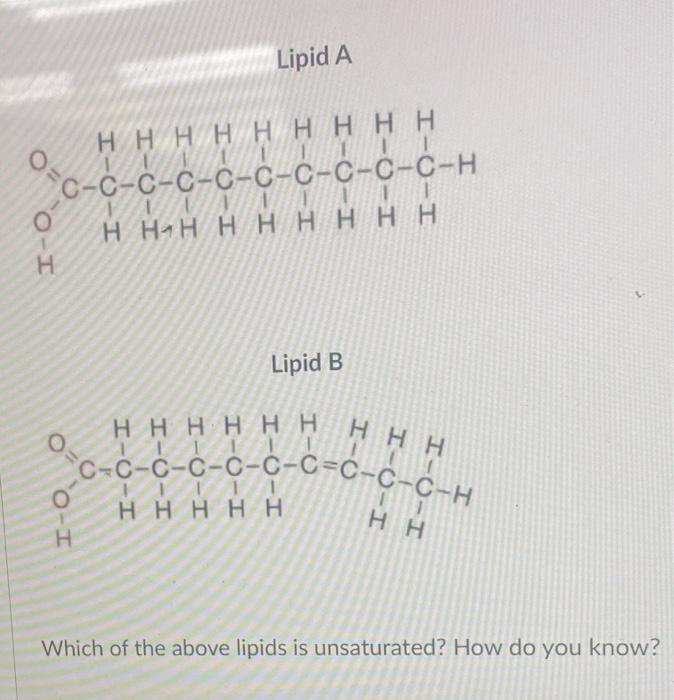 Solved Lipid A O=C Η Η Η Η Η Η Η Η Η 1 0-0-0-0-0-0-C-C-C-C-H | Chegg.com