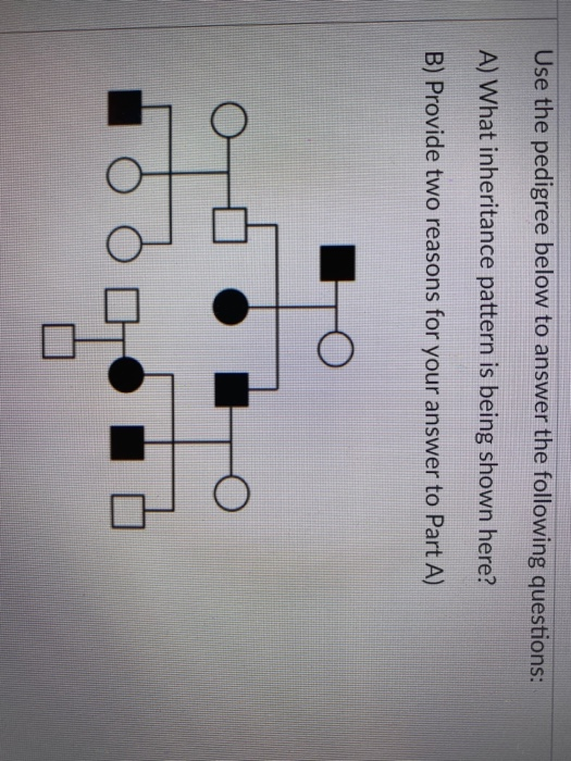 Solved Use the pedigree below to answer the following | Chegg.com