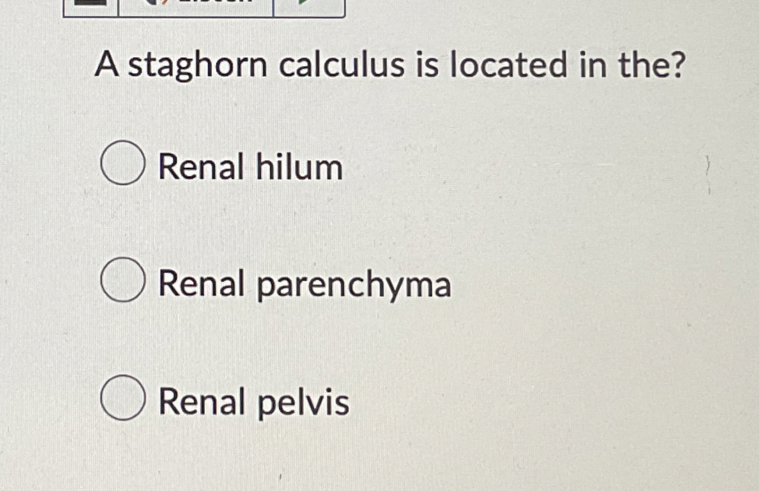 Solved A staghorn calculus is located in the?Renal | Chegg.com