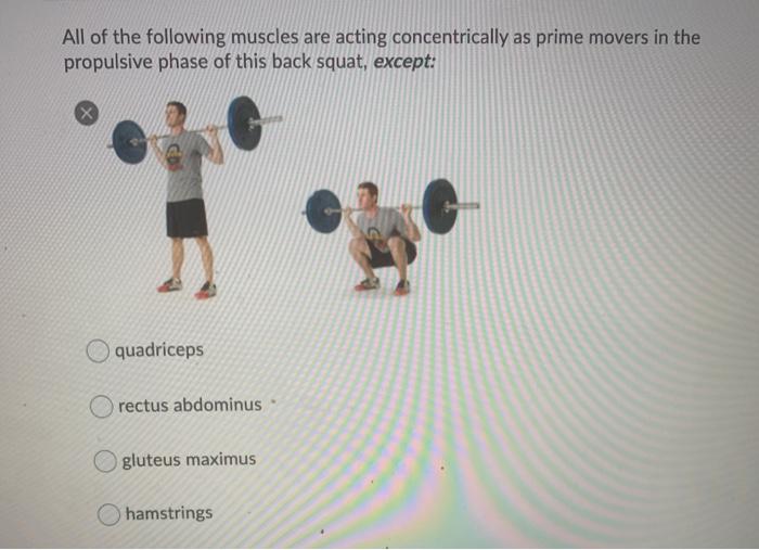 🤔 Squats would include ______ of the hip and ______ of the knee?⁠ ⁠ A.  Extension; knee extension⁠ B. Flexion; knee flexion