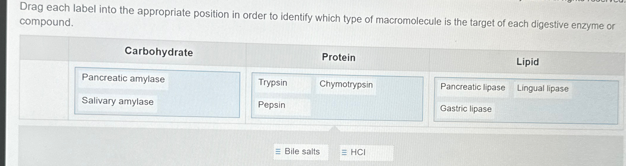 Solved Drag each label into the appropriate position in | Chegg.com