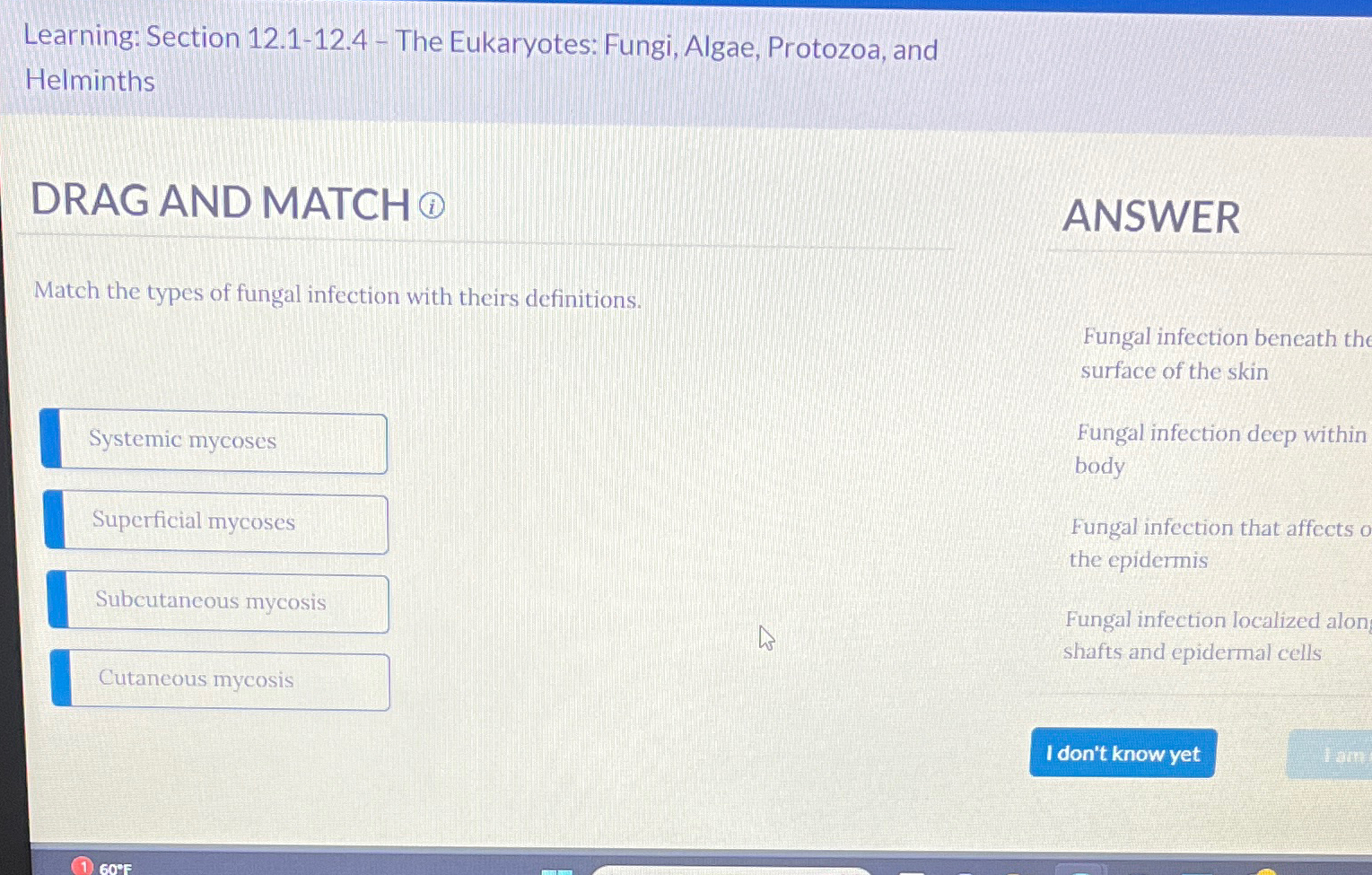 Solved Learning: Section 12.1-12.4 - ﻿The Eukaryotes: Fungi, | Chegg.com
