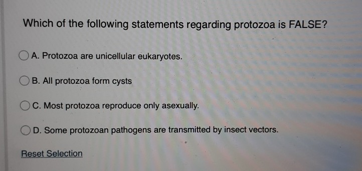 Solved Which of the following statements regarding protozoa | Chegg.com
