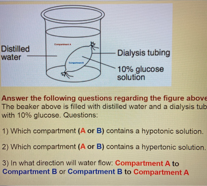Solved Compartment A Distilled water Dialysis tubing
