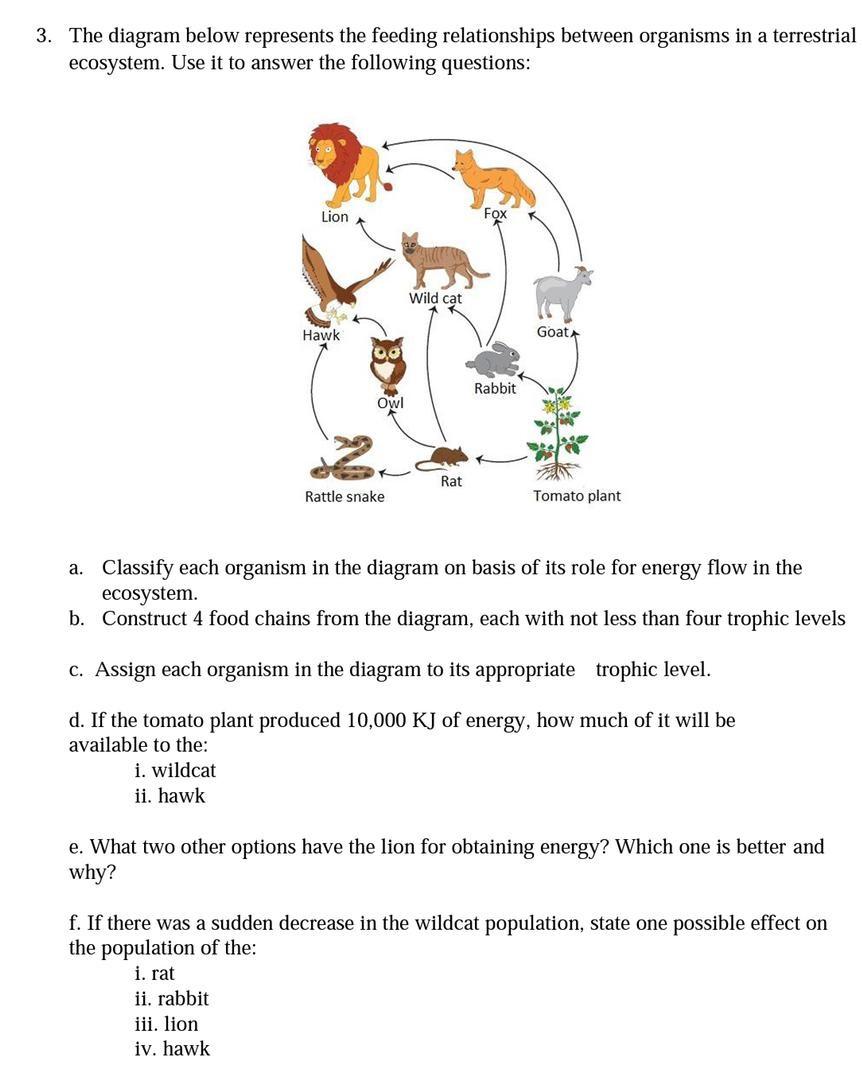 3 The Diagram Below Represents The Feeding Chegg Com