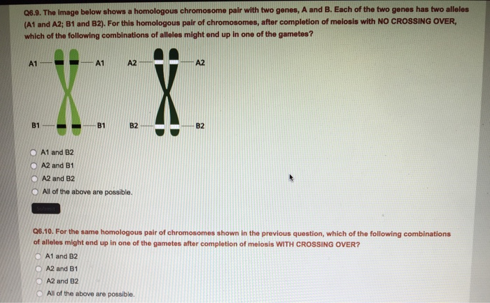 Solved: Q6.7. If A Person Is Heterozygous For The A32 Alle... | Chegg.com