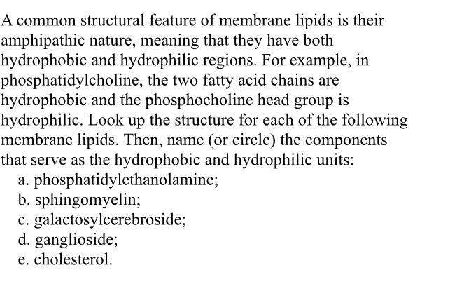 Solved A Common Structural Feature Of Membrane Lipids Is Chegg Com