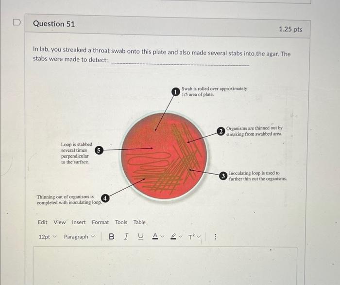 Solved Microbiology I WILL GIVE YOU THUMBS UP If You Answer | Chegg.com