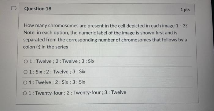 Solved Exe Name 3 1 Chromosomes And Cell Division Section Chegg Com
