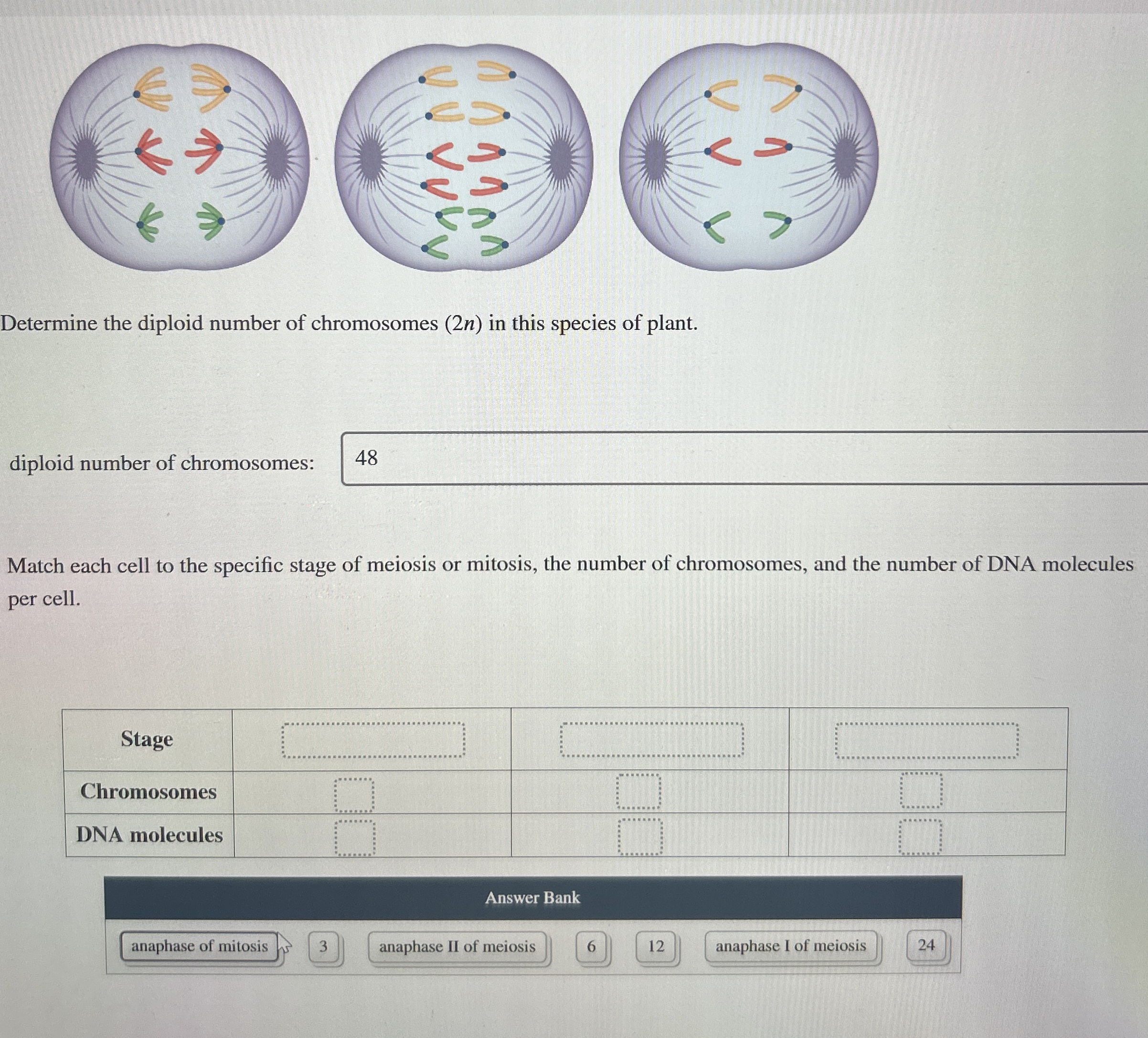 Solved Determine the diploid number of chromosomes (2n) ﻿in | Chegg.com