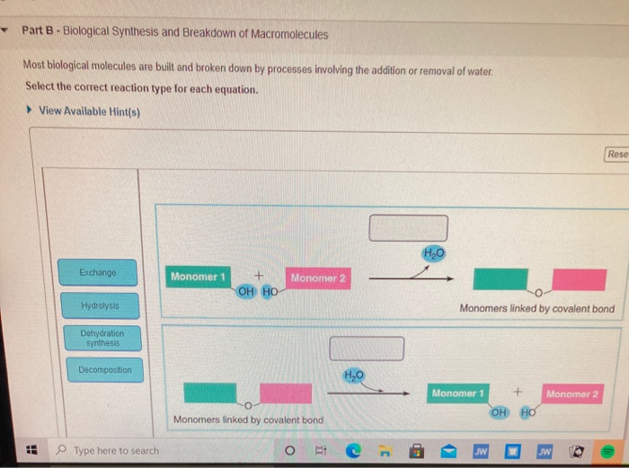 Solved Part B Biological Synthesis and Breakdown of