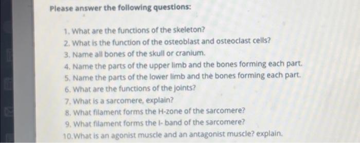 Explain the function of the cranium.