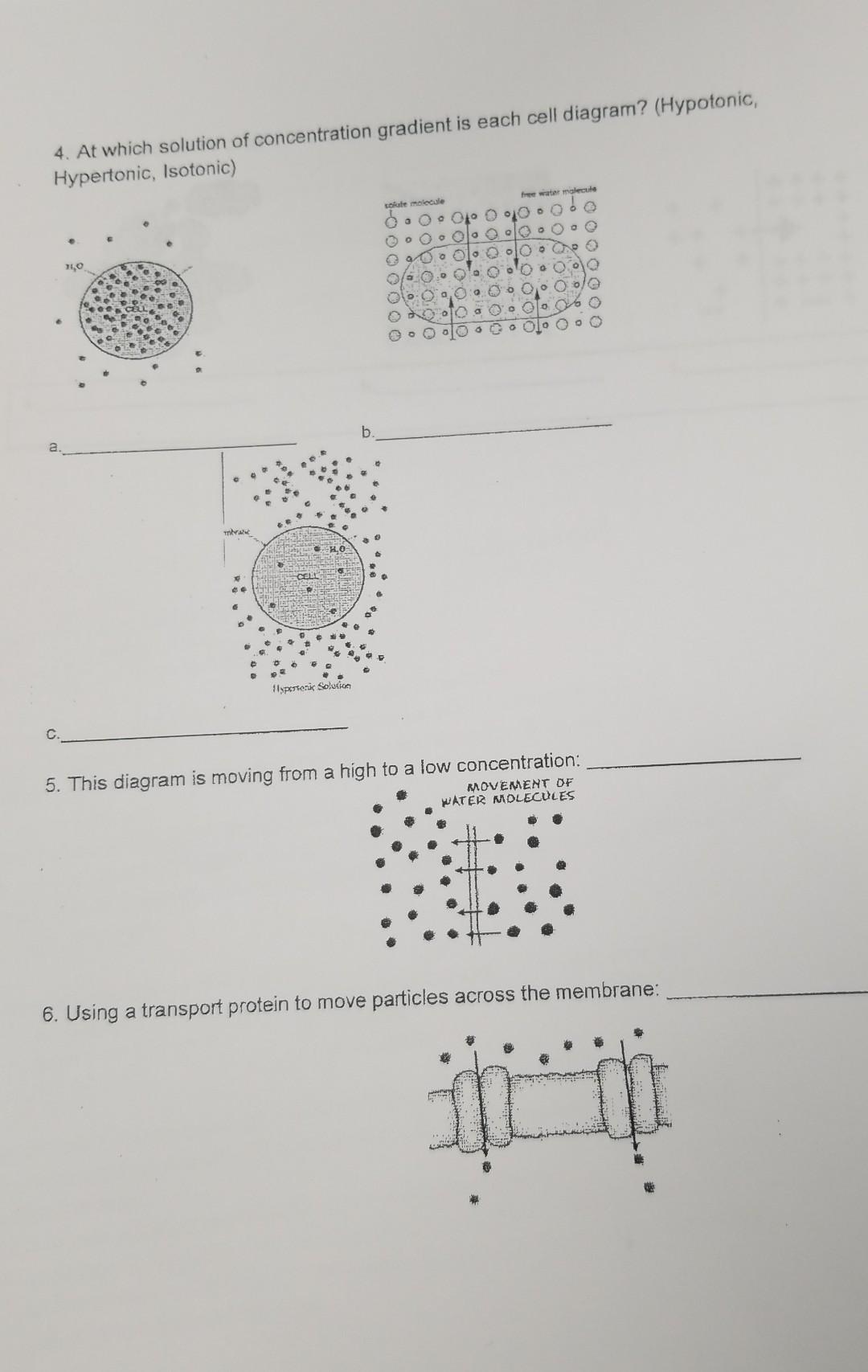 solved-4-at-which-solution-of-concentration-gradient-is-chegg