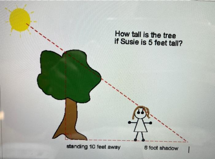 solved-how-tall-is-the-tree-if-susie-is-5-feet-tall-chegg