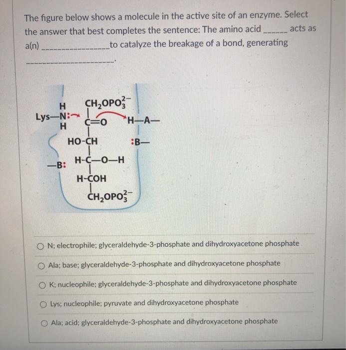 Solved The figure below shows a molecule in the active site | Chegg.com