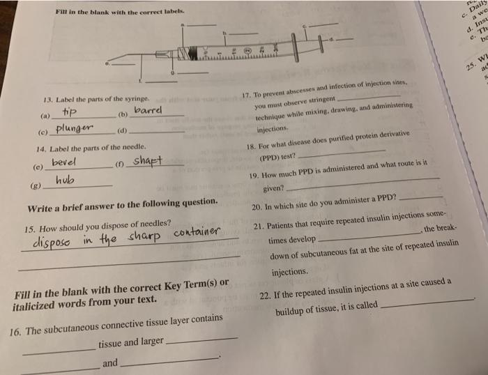 Fill in the blank with the correct labels. Daily a we d. Inst e. Th be HE 25. WE ac 13. Label the parts of the syringe. tip b