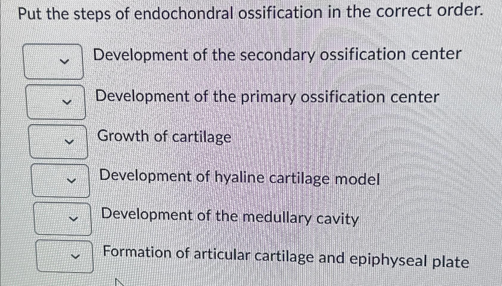 Solved Put The Steps Of Endochondral Ossification In The