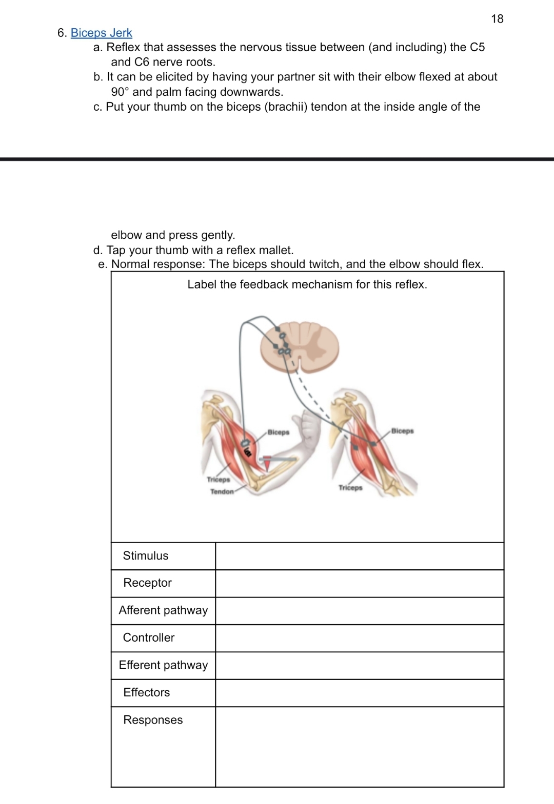 Solved 186. ﻿Biceps Jerka. ﻿Reflex that assesses the nervous | Chegg.com