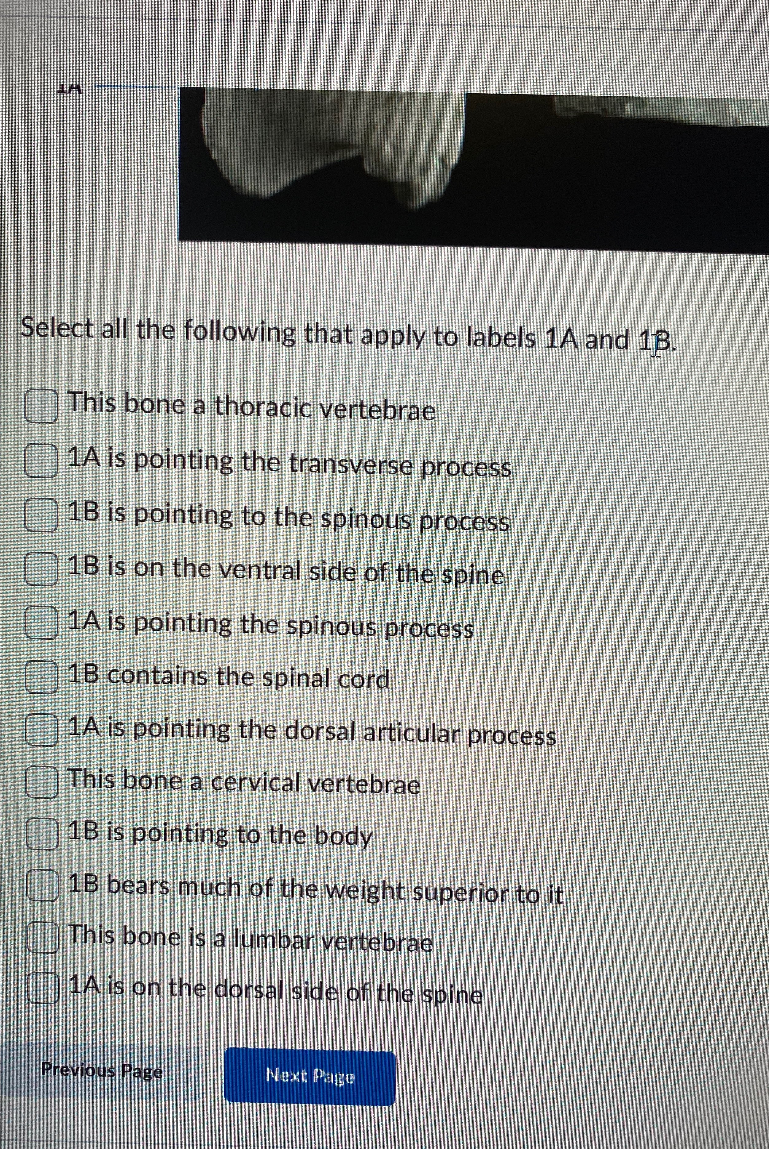 Select all the following that apply to labels 1A and | Chegg.com